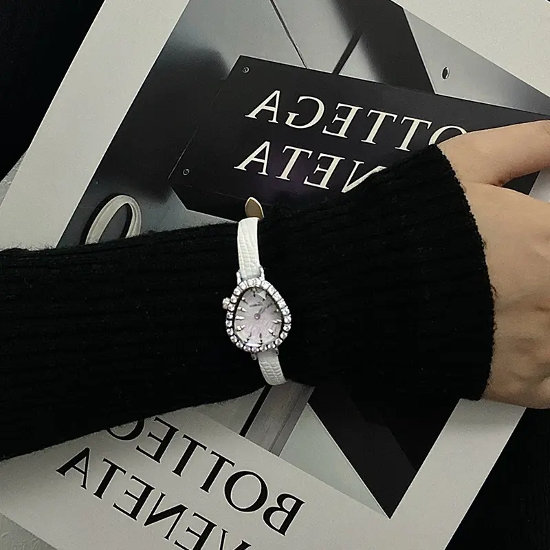 Sotoiru Watches for Woman Fashion Quartz Snake Wristwatches with Qucik Release Strap Brand Original Design 3PCS/Set Gifts Box