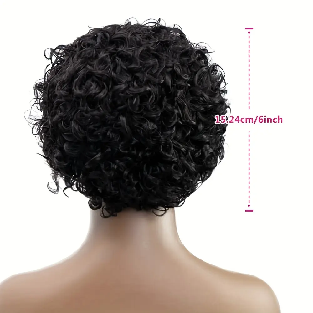 13x1 Pixie Curly Human Hair Wig Pixie Cut Curly Transparent Lace Wigs Brazilian Remy 100% Human Hair Wigs For Black Women