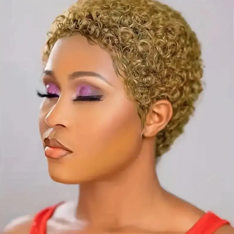 Curly Pixie Cut Wig Human Hair Wig for Women Human Hair Short Wig Human Hair full machine made Wig Layered Machine Made Wig