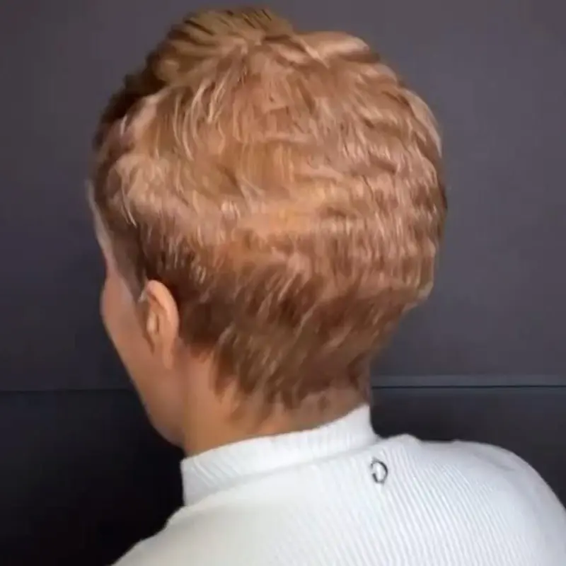 Short Synthetic Wigs Short Brown Wig Layered Wavy Hair Wig For Women Hair Wig Heat Reistant Hairstyles for Women Haircuts