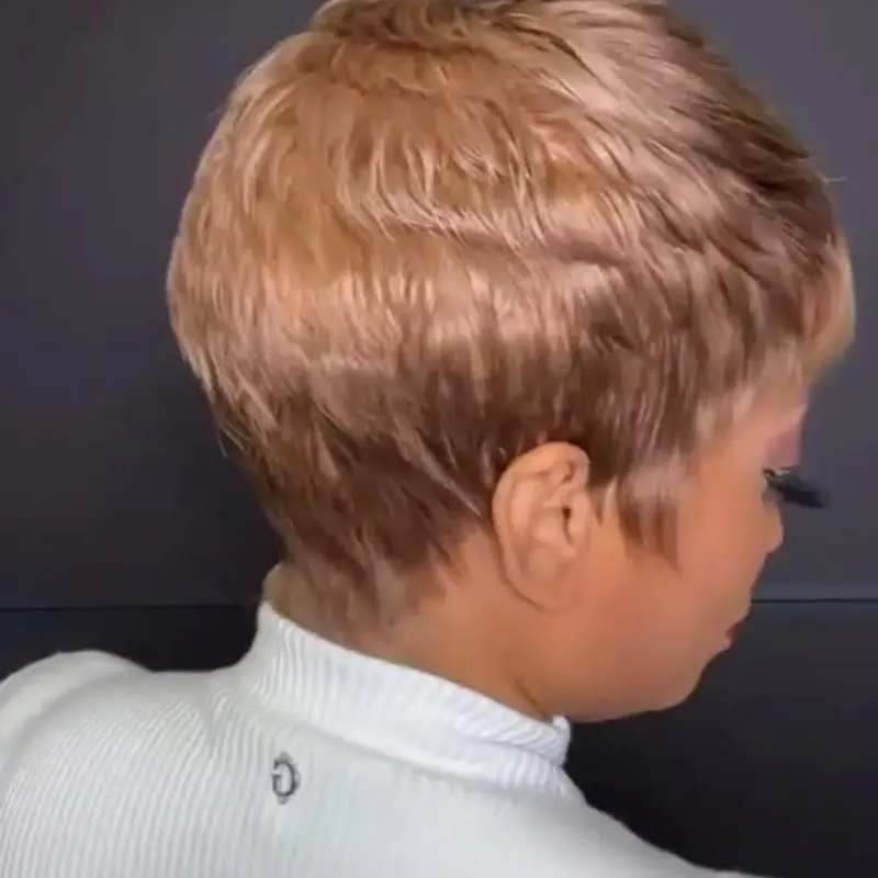Short Synthetic Wigs Short Brown Wig Layered Wavy Hair Wig For Women Hair Wig Heat Reistant Hairstyles for Women Haircuts