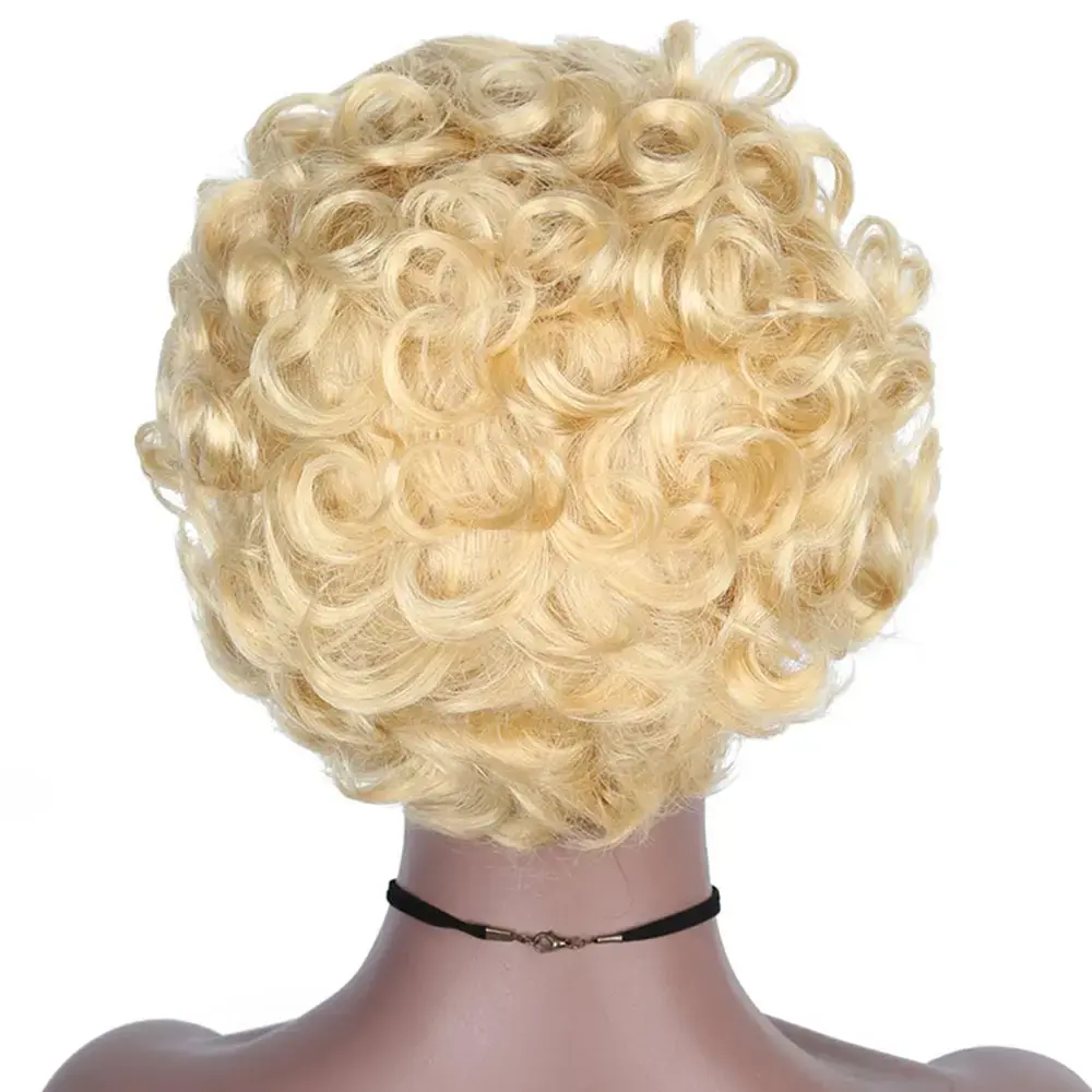 613 Blonde Wig 13X1 Transparent Lace Wig For Women Pixie Cut Wig Short Curly Human Hair Wigs Cheap Human Hair