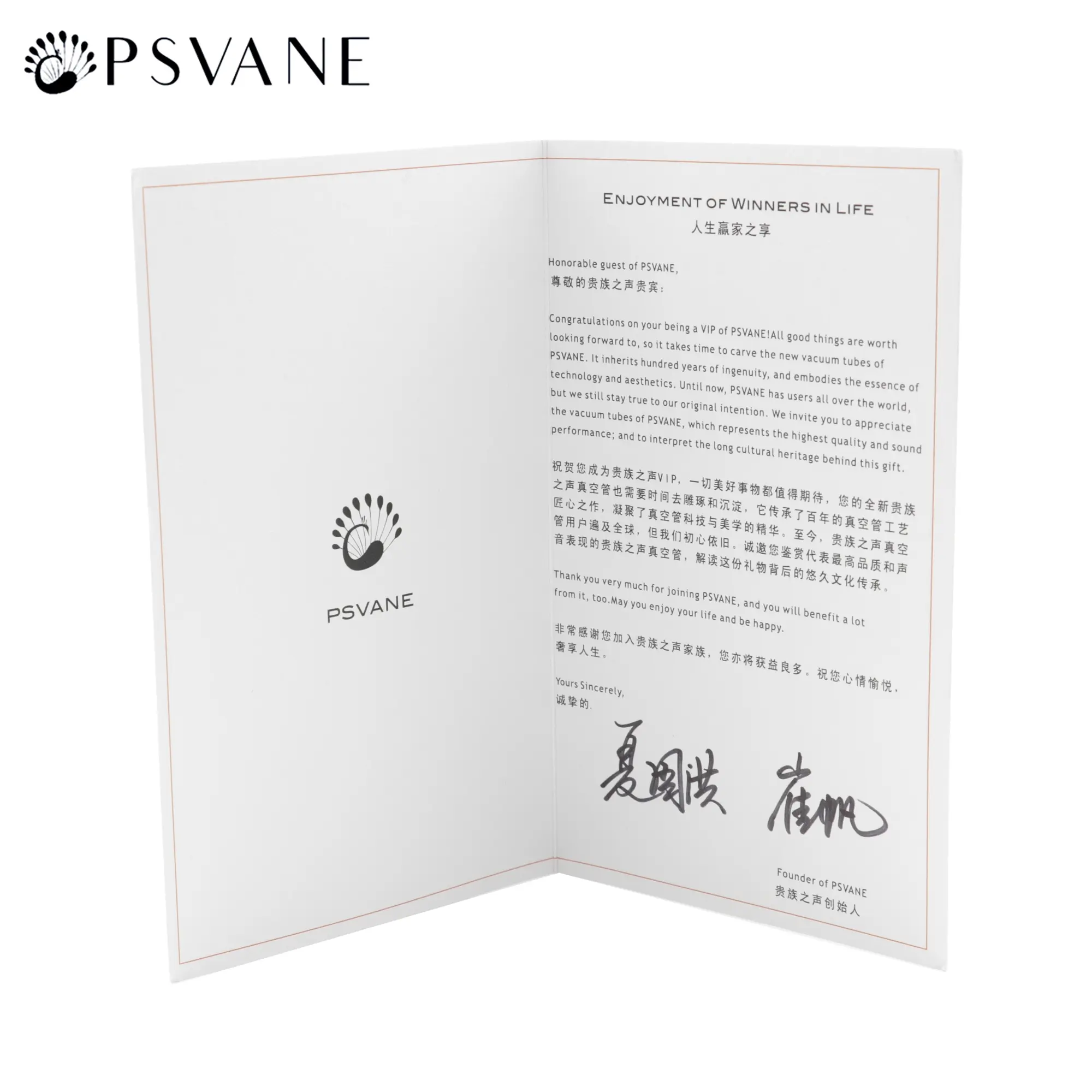 PSVANE WE300B PLUS Vacuum Tube Upgrade 300B 4300B 7300B WE300B 300BT Replace EH Mullard Shuguang 300B Vintage Audio Matched