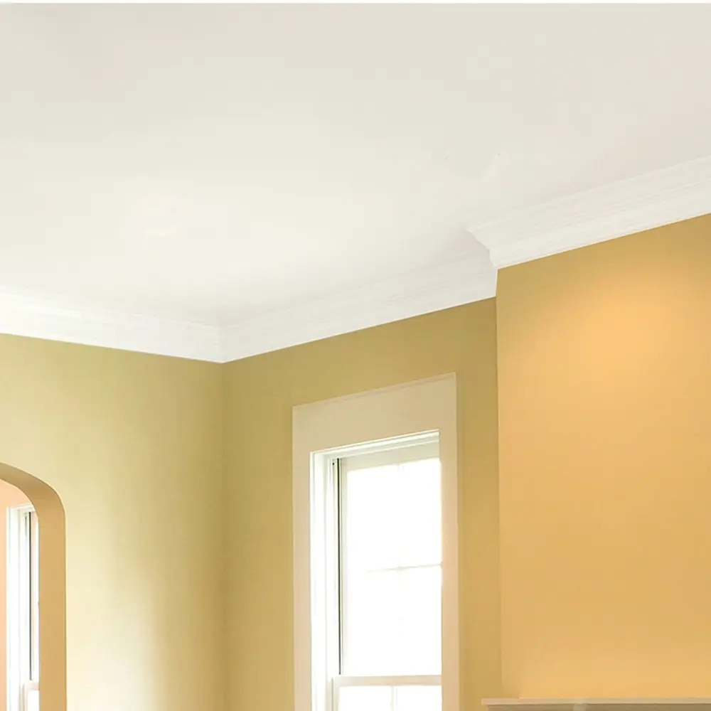 Bright White Ceiling Paint Primer Stain Blocking Quick Dry Mold Mildew Resistant Interior Use Covers 250-400 sq ft Easy Cleanup