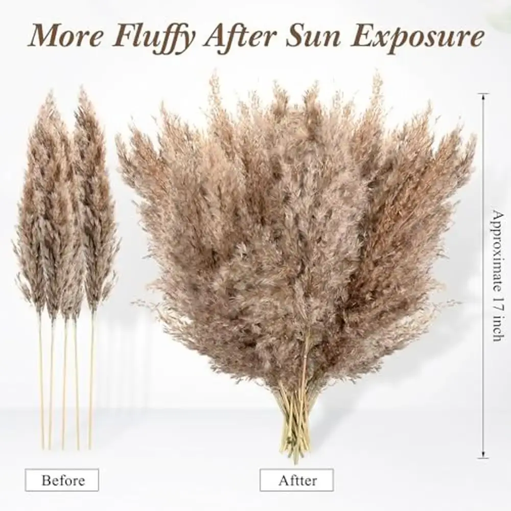 150pcs Dried Pampas Grass Bulk Natural Fluffy Boho Wedding Decor Bouquets