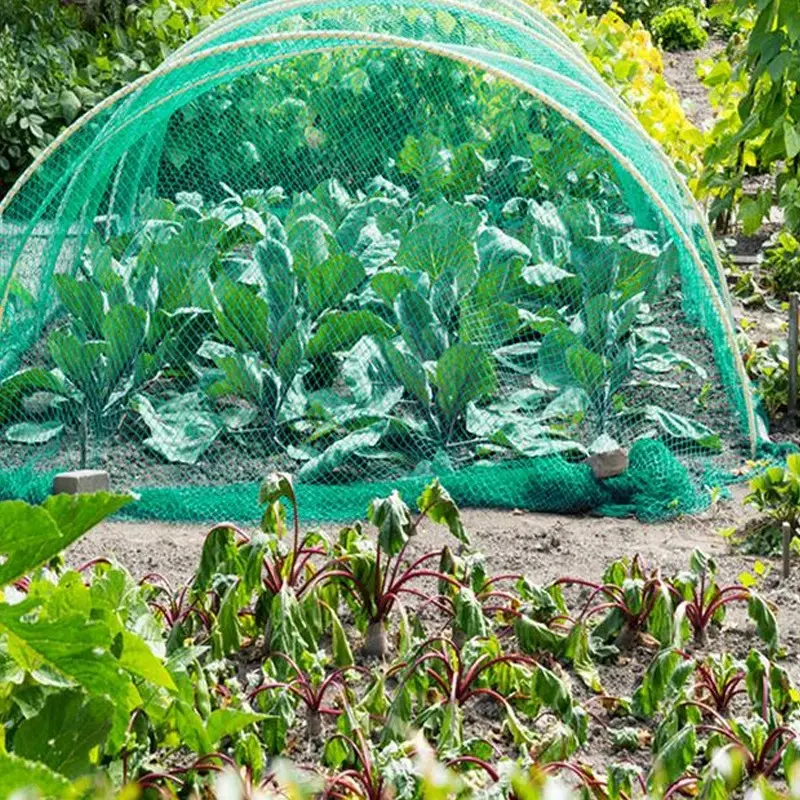 5/10/20M Anti Bird Protection Net Mesh Garden Plant Netting Protect Plants and Fruit Trees from Birds Deer Poultry Best Fencing