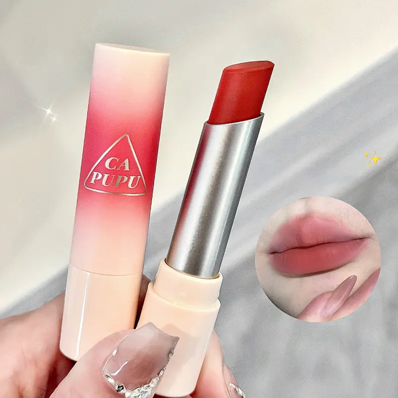 Matte Velvet Nude Brown Lipstick Makeup Waterproof Velvet Lip Stick Easy To Wear Lasting Matte Nude Lip Gloss Non-stick Cosmetic