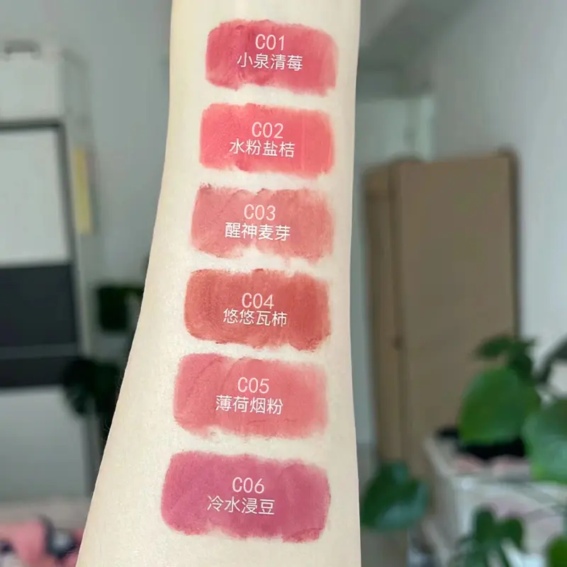 6 Colors Long-Lasting Matte Liquid Lip Gloss with Soft Velvet Finish and Waterproof Formula Lip Clay Lip Glaze Gift Makeup