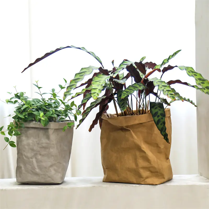 DINYAO Thickening Cowhide Paper Bag Eco-friendly Foldable Washable Home Storage Bag for Plants, Fruits and Vegetables