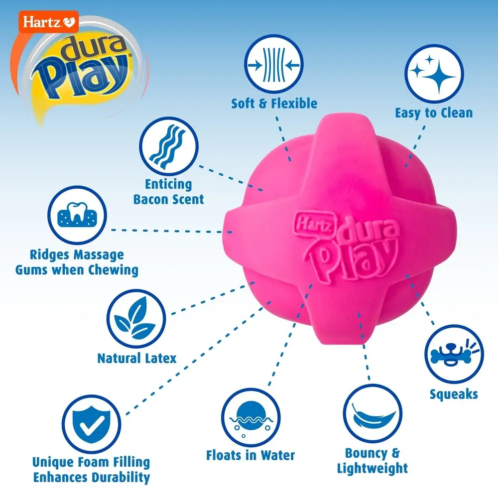 Medium Dog Toys Bacon Scented Squeaky Latex 3 Pack Dura Play Fetch Floatable Indoor Outdoor Durable Chew Toy