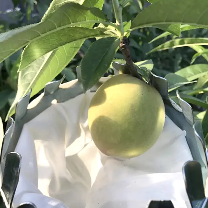 Metal Fruit Picker Gardening Apple Peach High Tree Picker Fruit Catcher Gardening Supplies