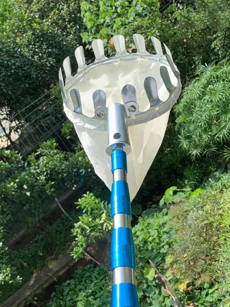 Metal Fruit Picker Gardening Apple Peach High Tree Picker Fruit Catcher Gardening Supplies