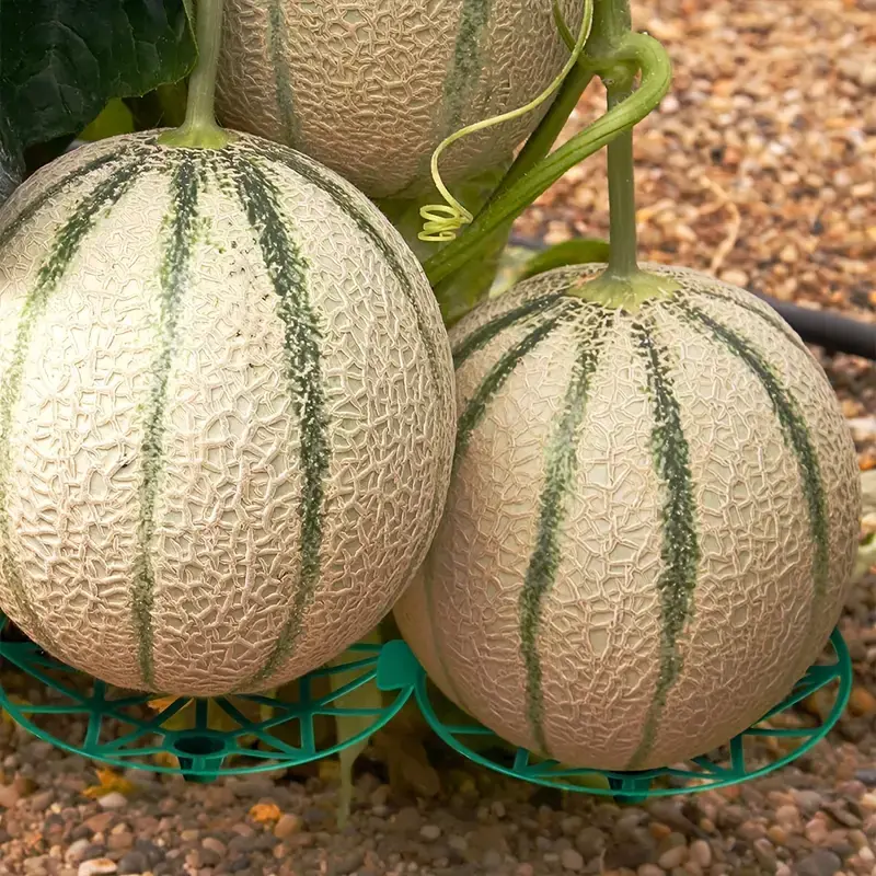 Gardening Melon And Fruit Tray, Household Watermelon Tray,Garden Fruit Anti- Rotting Bracket,Plastic Stable Tray, Watermelon She