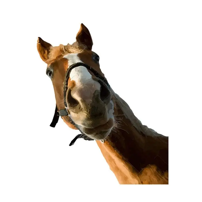 Quirky Horse Head Home Decor Glass Stickers Decorative Wall Stickers Animal Glass Stickers Background Wall Decoration