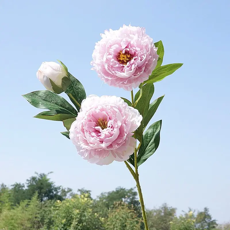 29.1 Inch Yangfei Peony Artificial Flower for Home Decoration Wedding Studio Soft Furnishing