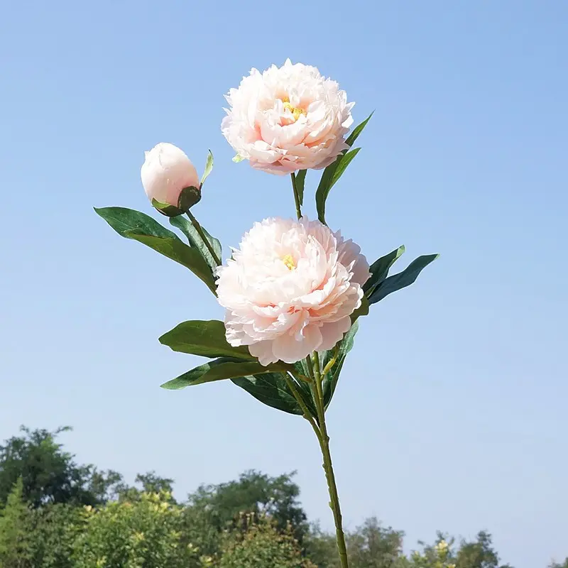 29.1 Inch Yangfei Peony Artificial Flower for Home Decoration Wedding Studio Soft Furnishing