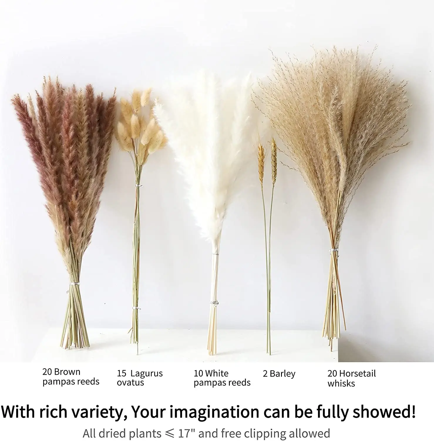 Natural Dried Reed Pampa Grass Bouquet,Boho Home Decor Bouquet, Phragmites Dried Flowers,Bouquet for Wedding Ramadan Decoration