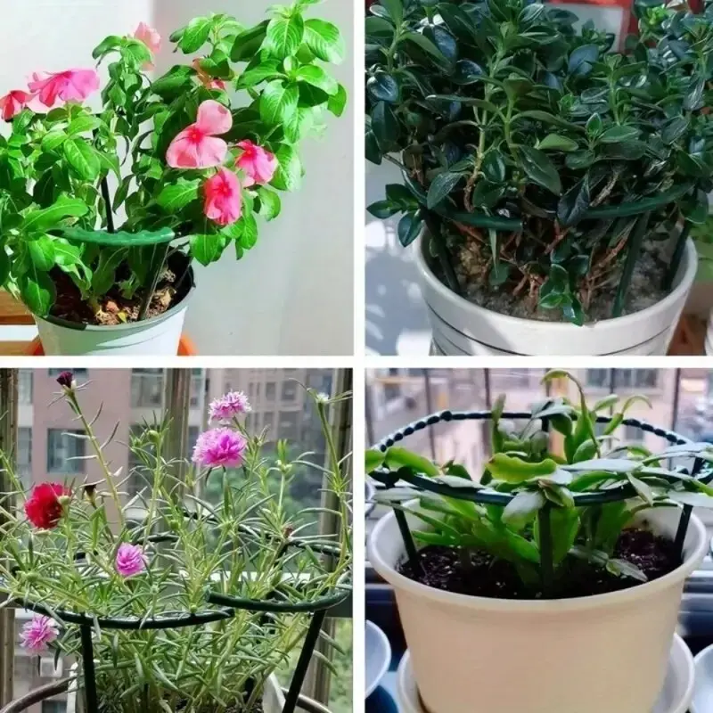 4 Pcs Crab Claw Orchid Bracket Double-layer GardeningFlower Rack,Plant Climbing Vine Rack Orchid Green Apple Anti FallingAnd Lea