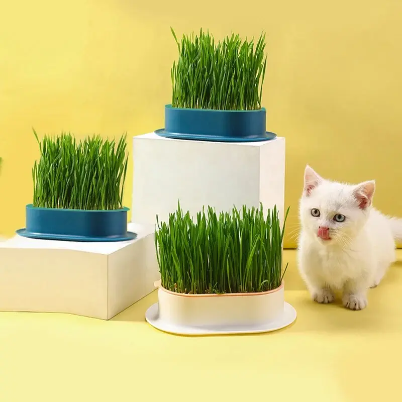 New Pet Cat Sprout Dish Growing Pot Hydroponic Plant Cat Grass Germination Digestion Starter Dish Greenhouse Grow Box