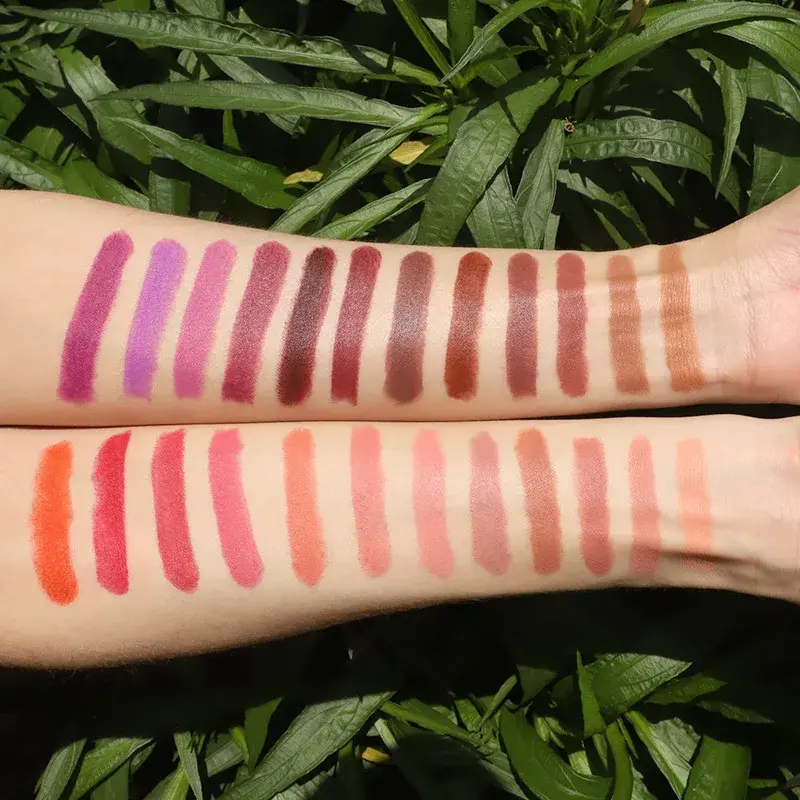 Custom 24colors Matte Waterproof Lipstick Long Lasting Non-fading Color Sexy Lips Beauty Makeup Cosmetics Bulk