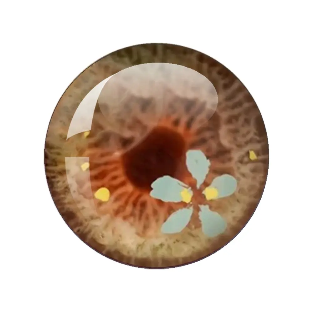 14mm Cute Pattern Eyes Chips Suitable Blythe Eyes Doll Super Thin Pupil Glass Cabochons Accessories Items Wholesale 12pcs/Bag