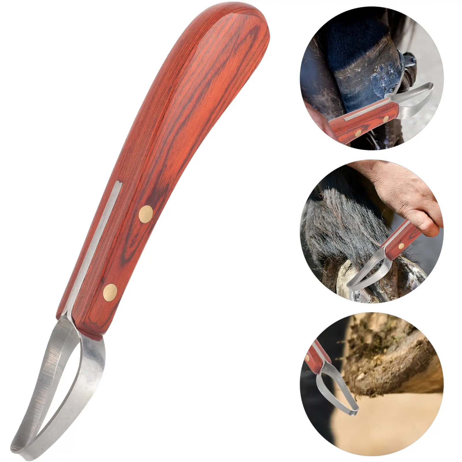 Hoof Trimmer Manganese Steel Handle Professional Farrier Supplies Reusable Goats Hoof Care