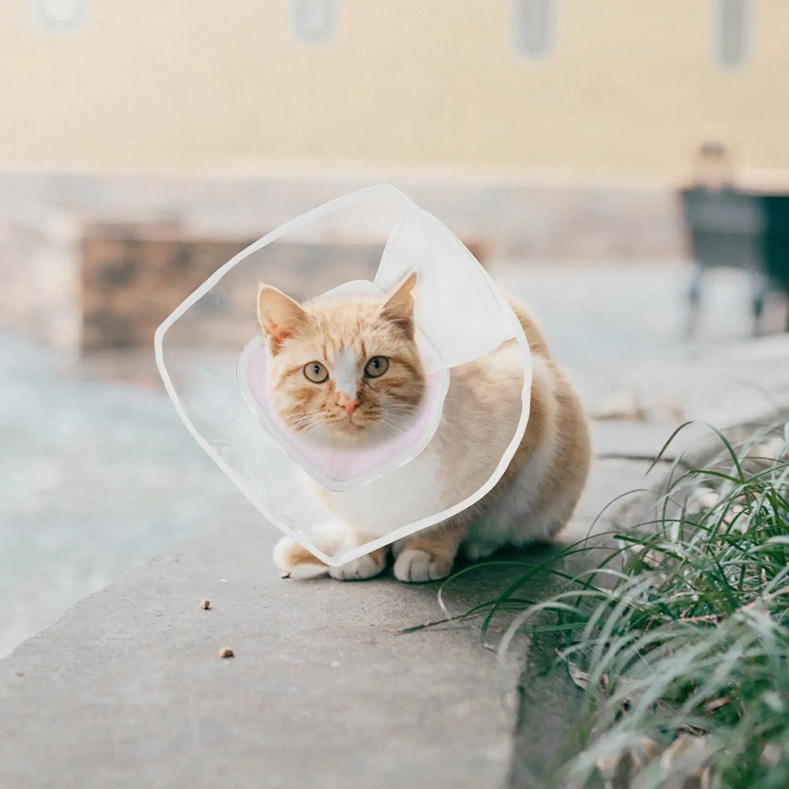 Kitten Collars Conical Necklace Small Cat Cone Adjustable Recovery Pet after Surgery Pink for