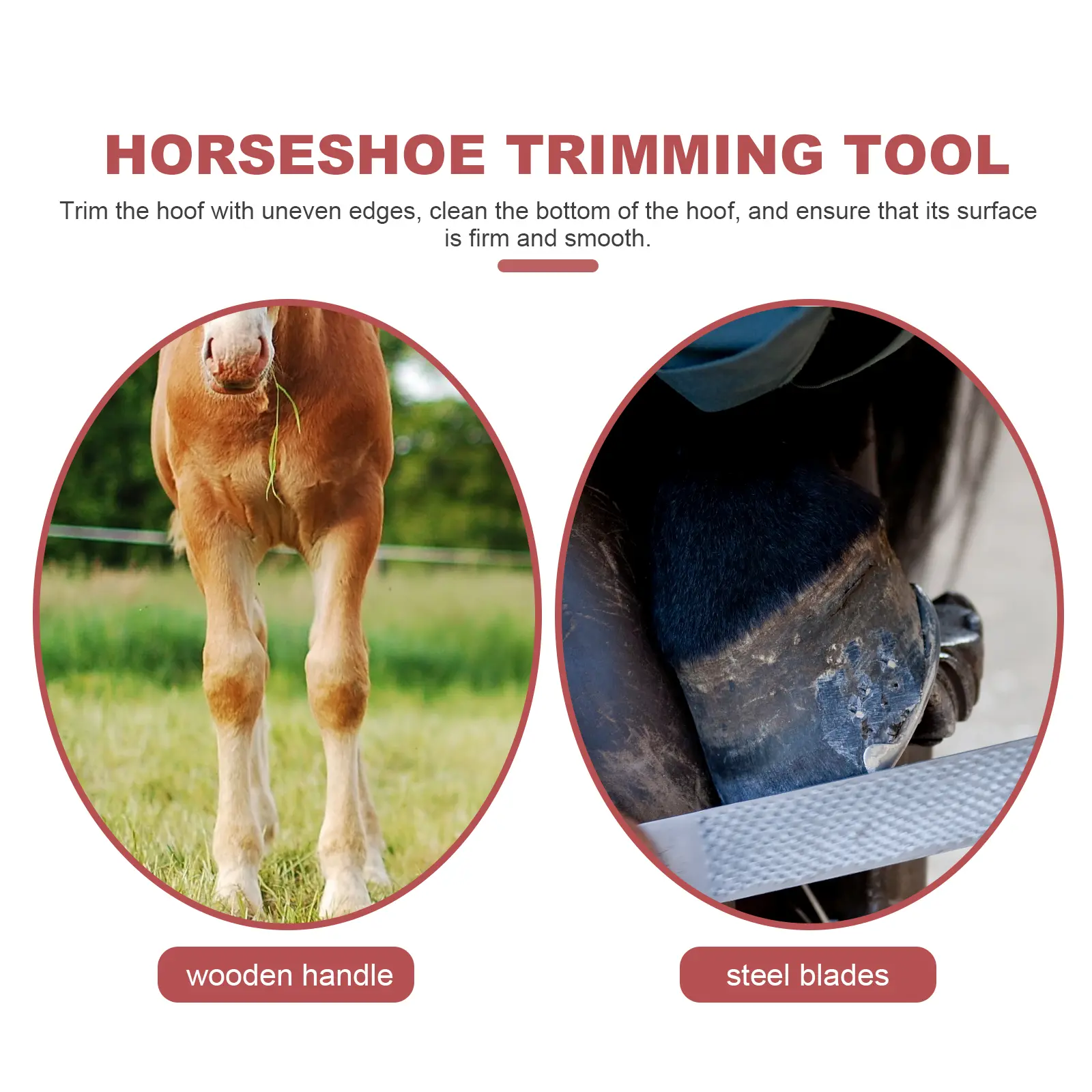 Hoof Trimmer Manganese Steel Handle Professional Farrier Supplies Reusable Goats Hoof Care