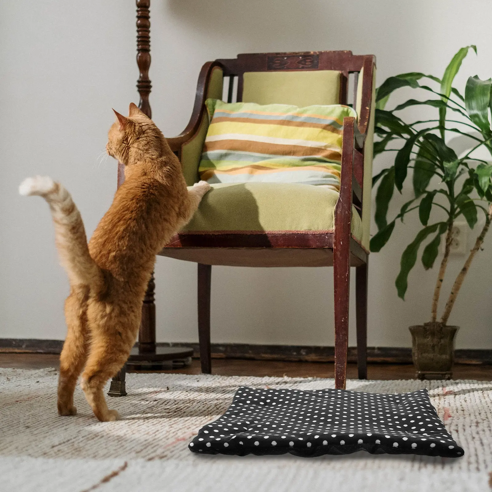 USB Heating Pad Cat Outdoor Mat Dog Bed Warming Heater Heated Creative Cotton Elderly Warmer Constant Temperature Floor