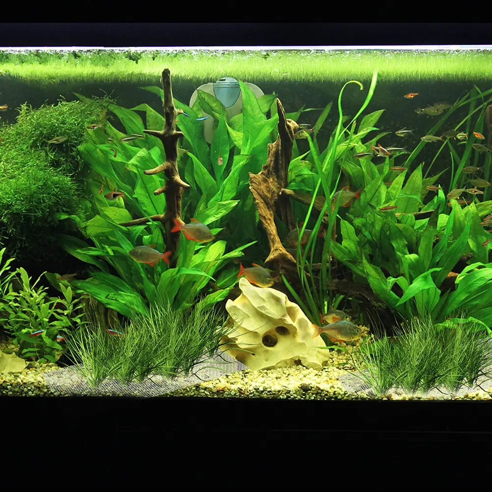 2 Pcs Stainless Steel Filter Sheet Aquarium Mesh Pad Sturdy Fish Tank Accessories Bendable Replaceable Accessory