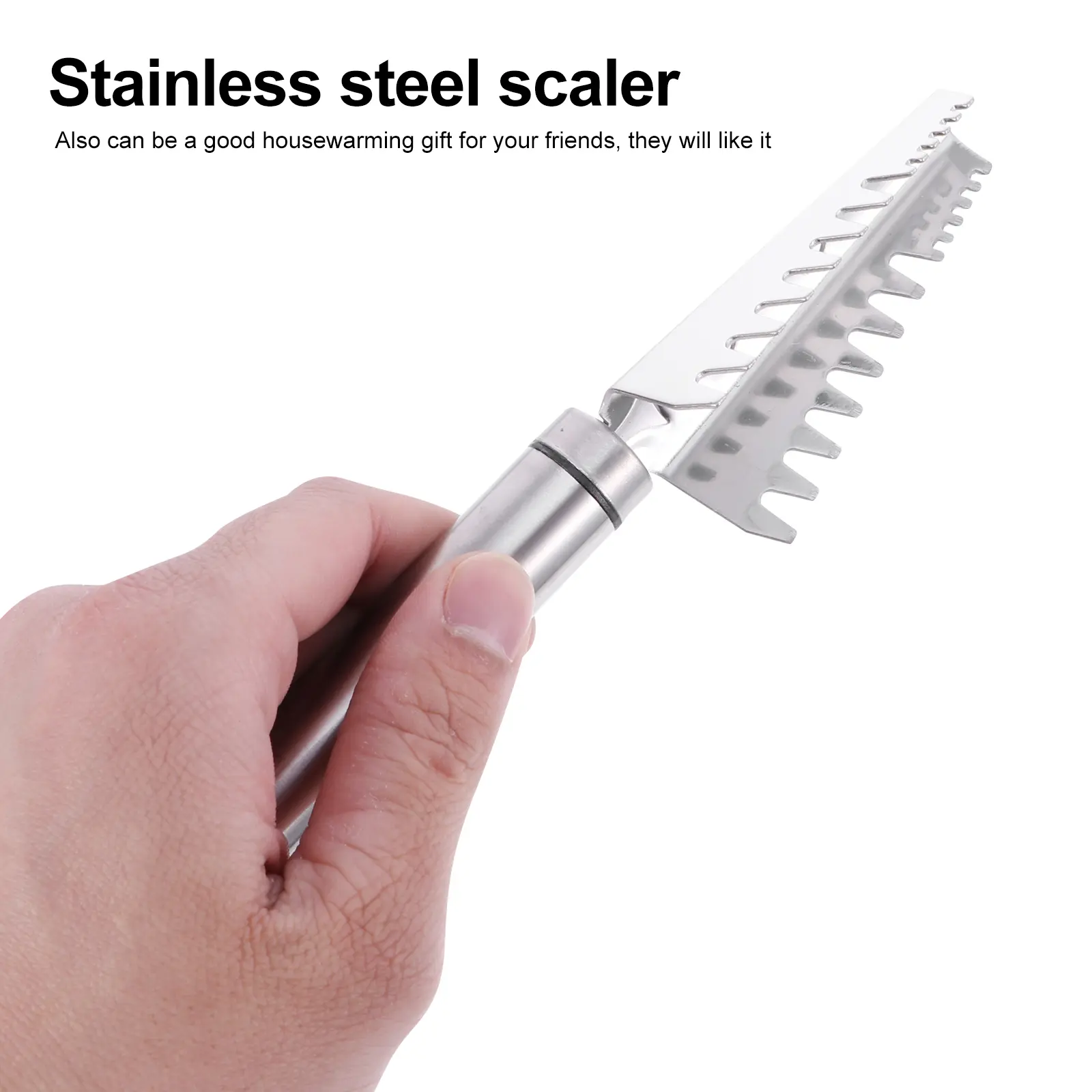 2Pcs Fish Scale Scraper Kitchen Gadgets Skin Cleaner Remover Tool Stainless Steel Picnic Restaurant Use
