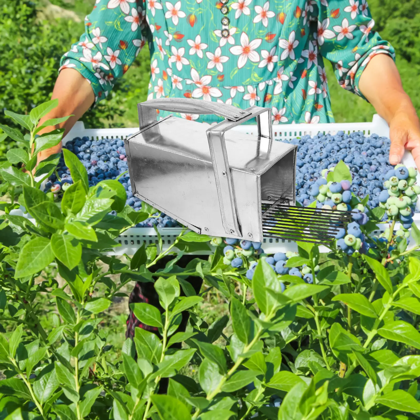 Blueberry Picker 1Pc Picking Basket Matte Metal Fruit Catcher Labor Saving Berry Scoop Tool Small Lightweight Portable