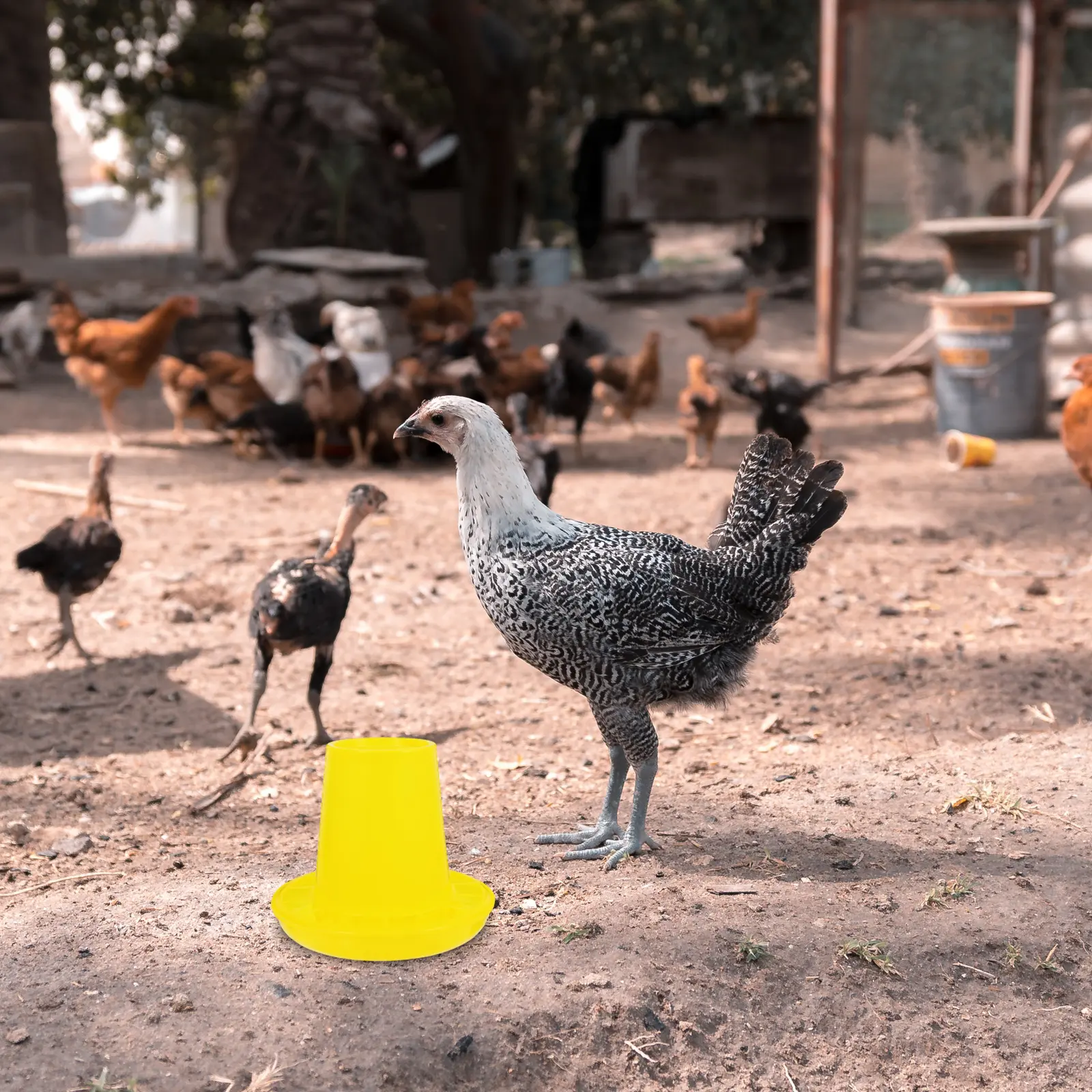 1 set Automatic Chicken Feeder Durable Quail Feeders Long Lasting Farmhouse Pet Cage Water Feeder Container Sturdy Structure