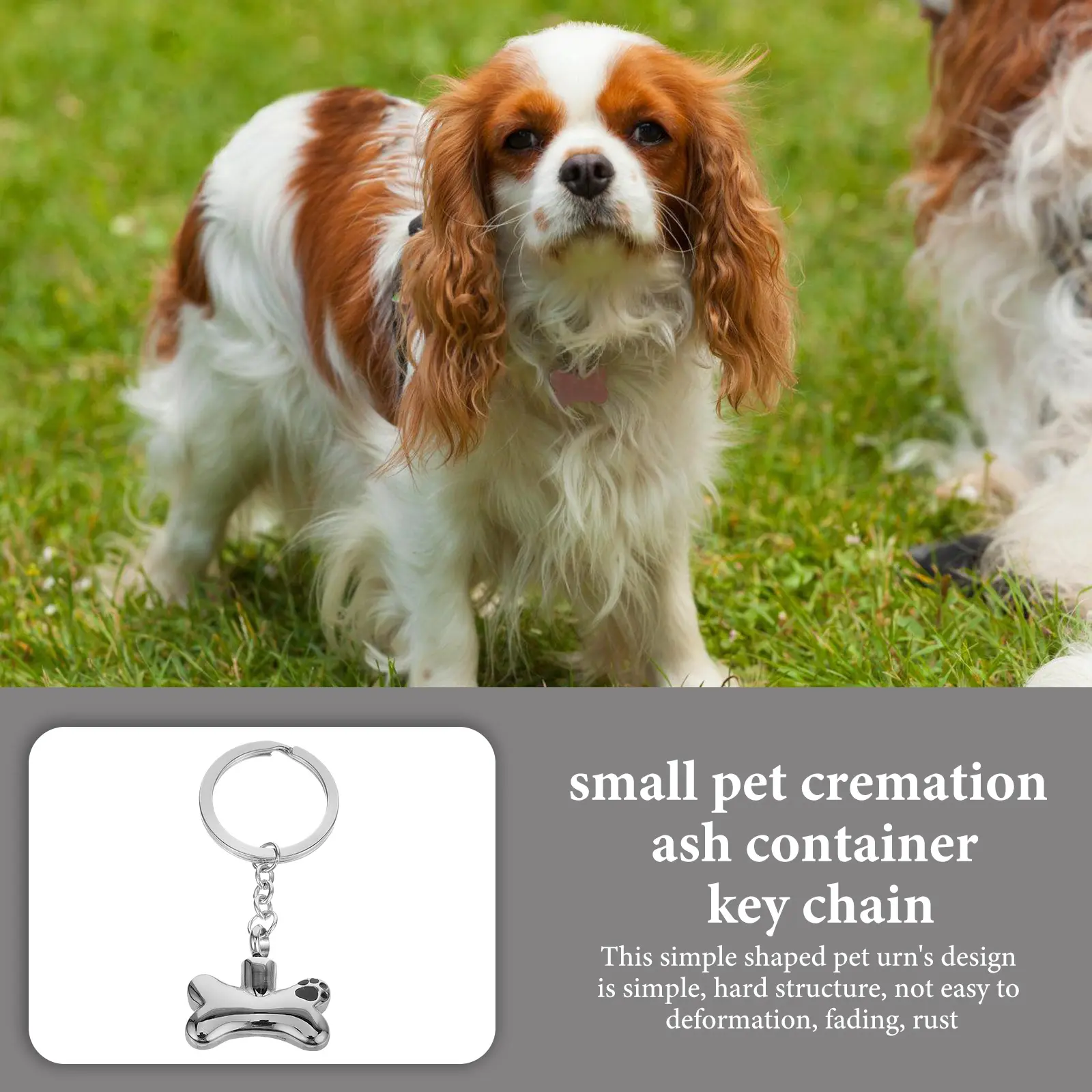 Stainless Steel Dog Paw Print Pendant Pet Urn Key Chain Mini Ash Keepsake Cremation Jewelry Pet Memorial Container Portable Urn