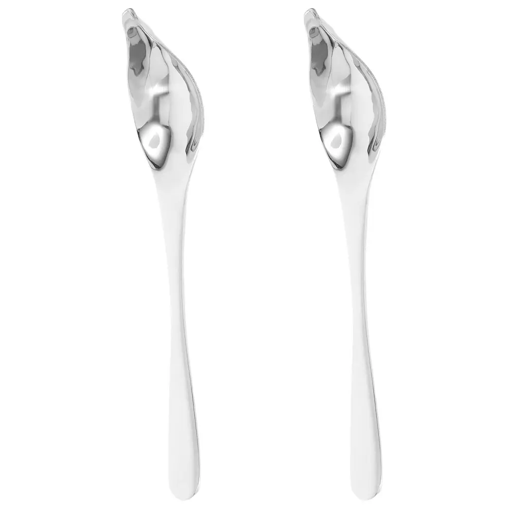 2pcs Stainless Steel Decorative Spoon for Dessert Presentation Basting Spout Precision Design Ergonomic Handle Culinary Kitchen