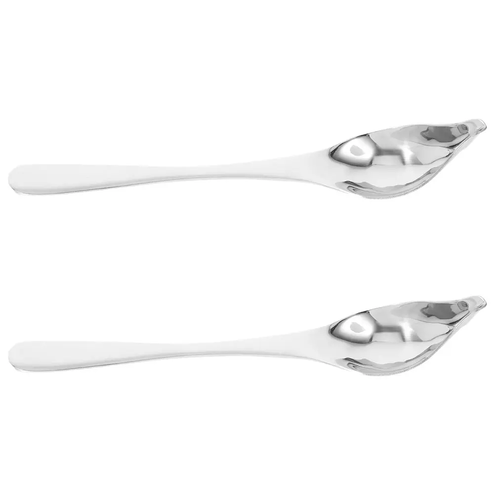 2pcs Stainless Steel Decorative Spoon for Dessert Presentation Basting Spout Precision Design Ergonomic Handle Culinary Kitchen