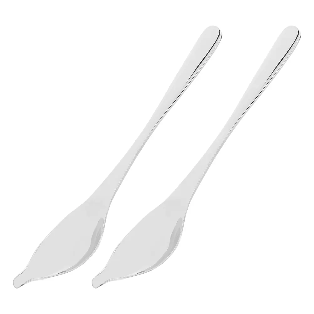 2pcs Stainless Steel Decorative Spoon for Dessert Presentation Basting Spout Precision Design Ergonomic Handle Culinary Kitchen