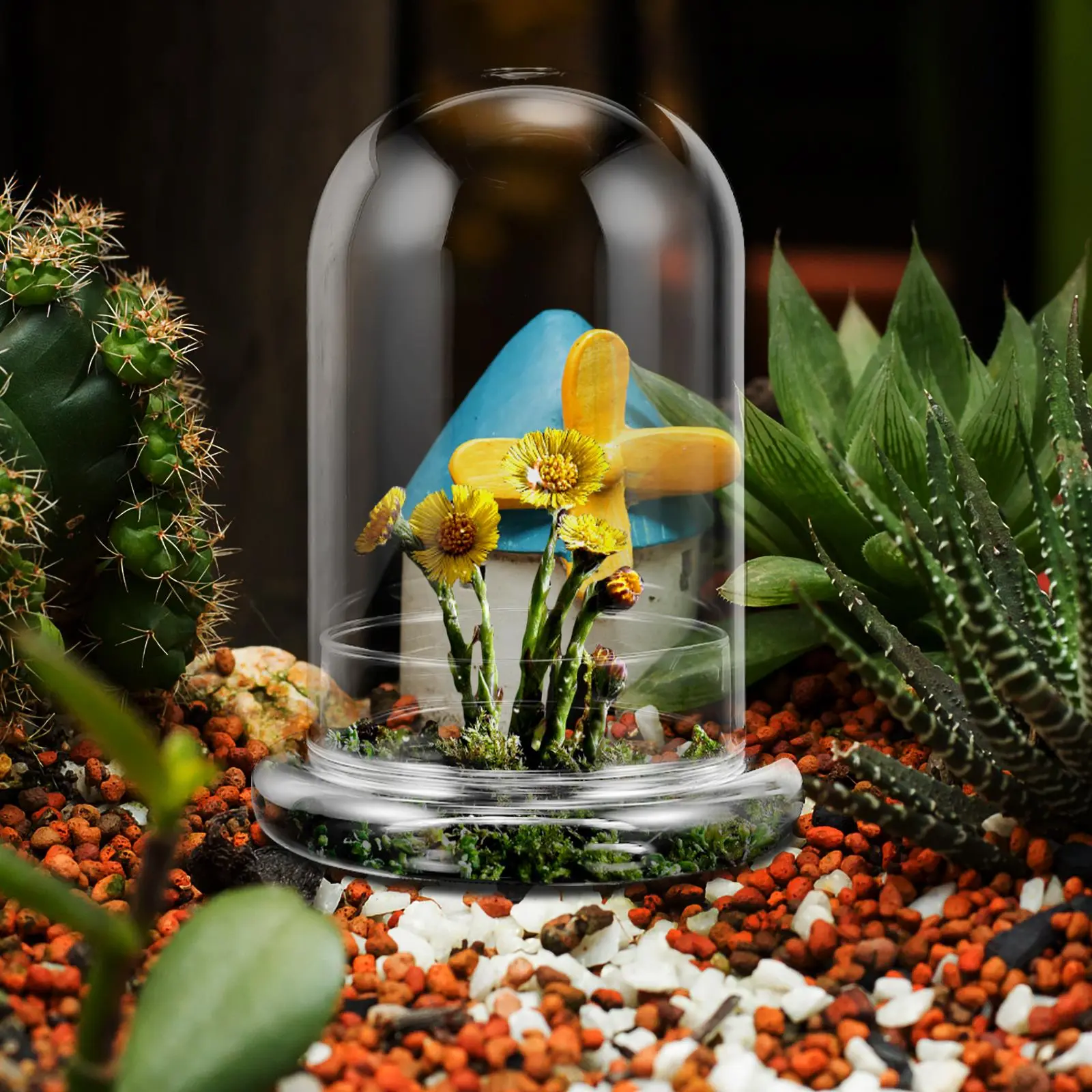 Moss Eco Bottle Glass Ecological Transparent Micro Landscape Diy Bottle Clear Display Cloche Dome Containers For Vases Home