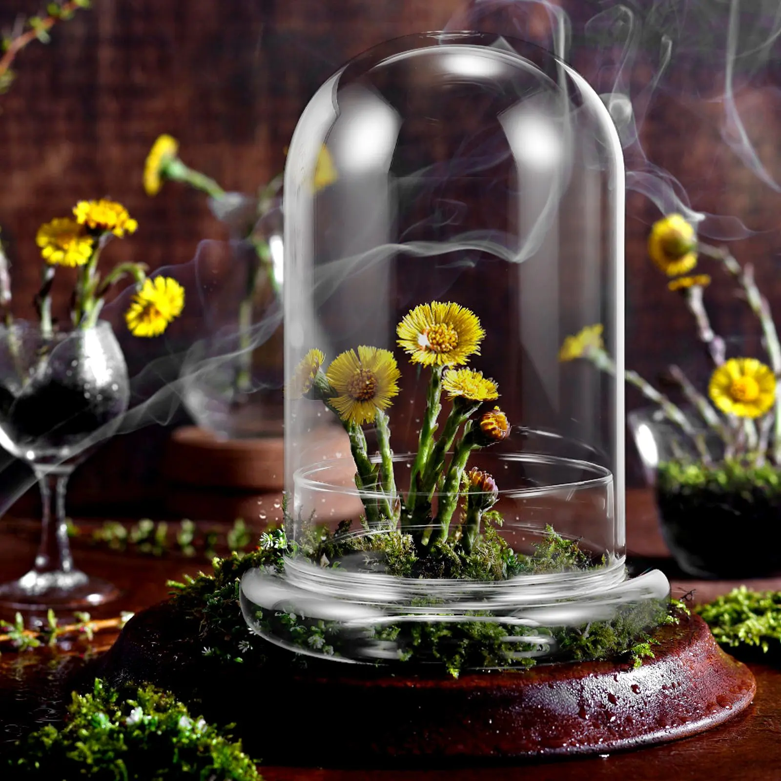 Moss Eco Bottle Glass Ecological Transparent Micro Landscape Diy Bottle Clear Display Cloche Dome Containers For Vases Home
