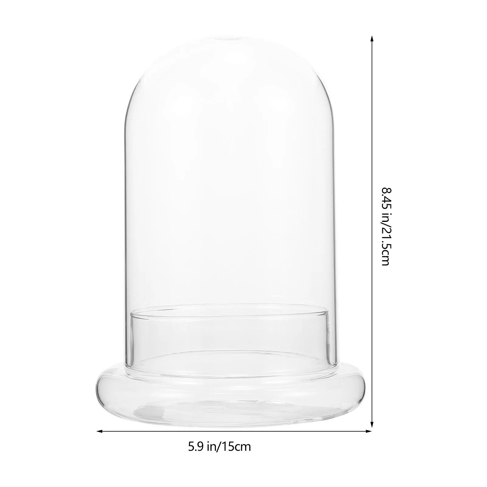 Moss Eco Bottle Glass Ecological Transparent Micro Landscape Diy Bottle Clear Display Cloche Dome Containers For Vases Home