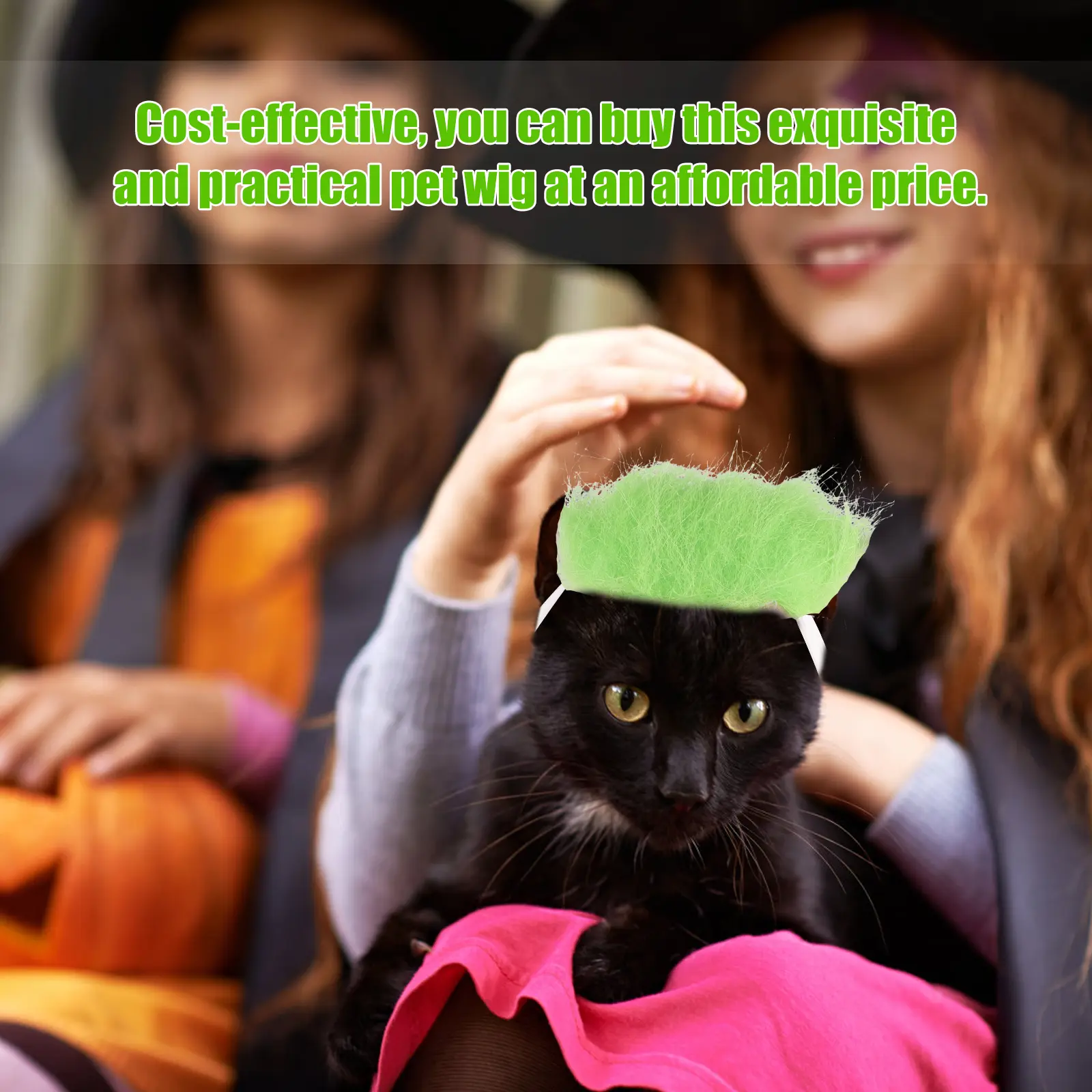 Pet Hair Accessories Elastic Strap Cloth Dog Cat Animal Headwear Costumes Halloween Festival Party Pet Supplies Bright Color