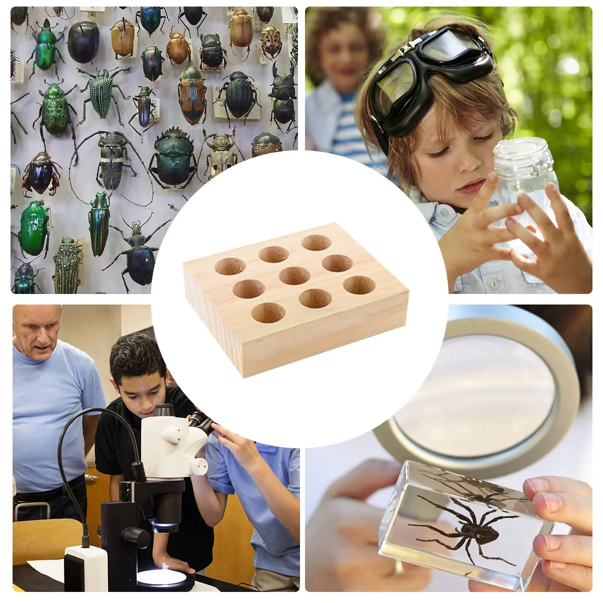 Wooden Insect Pinning Block 5x4x15 Inches Hardwood Display Equipment for Specimen Setting Laboratory Supplies