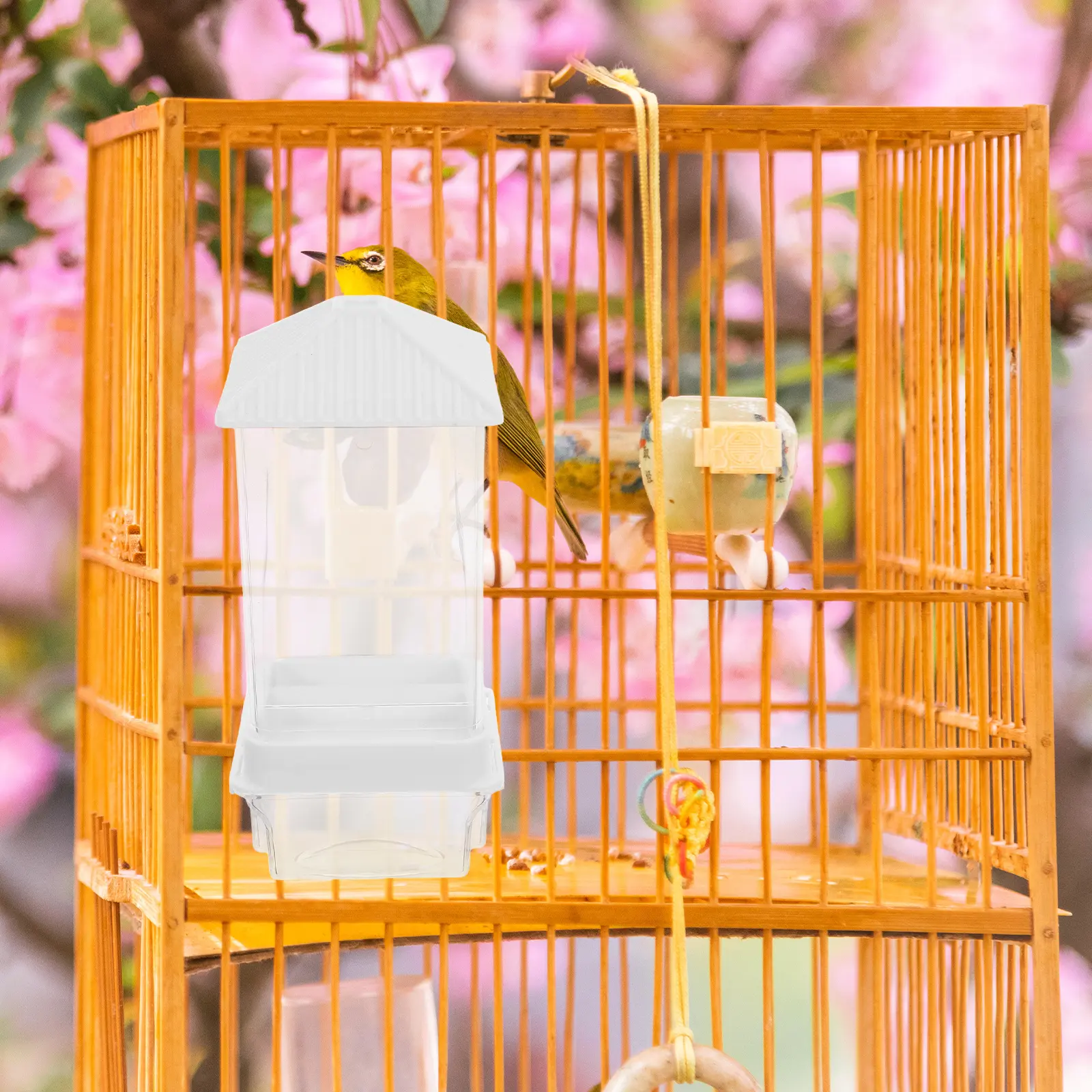 Automatic Bird Feeder Green Plastic Cage Cups for Chickens Birds Splashproof Parrot Dishes Easy Budgie Lovebird Food Box Sturdy