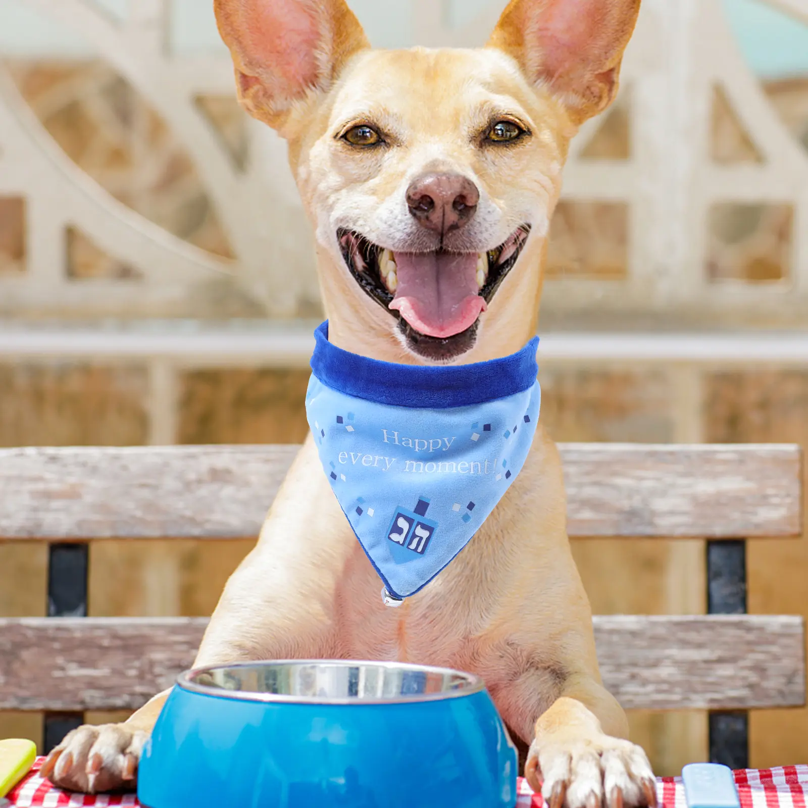Happy Hanukkah Dog Bib Collar Spit Towel Puppy Scarf Triangle Party Supplies Festive Accessories Holiday