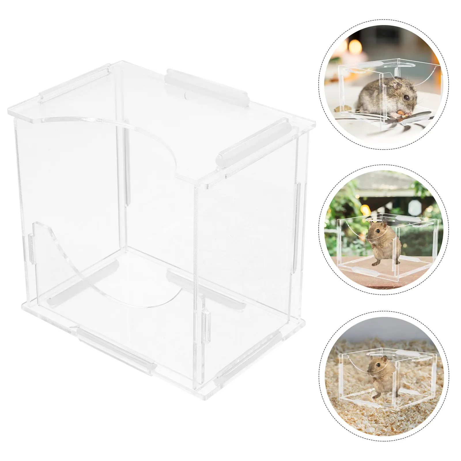 Acrylic Food Bowl Small Container for Hamster Guinea Pig Dishes Washable Feeder Rat Squirrel Pet Supplies Easy Clean for Food