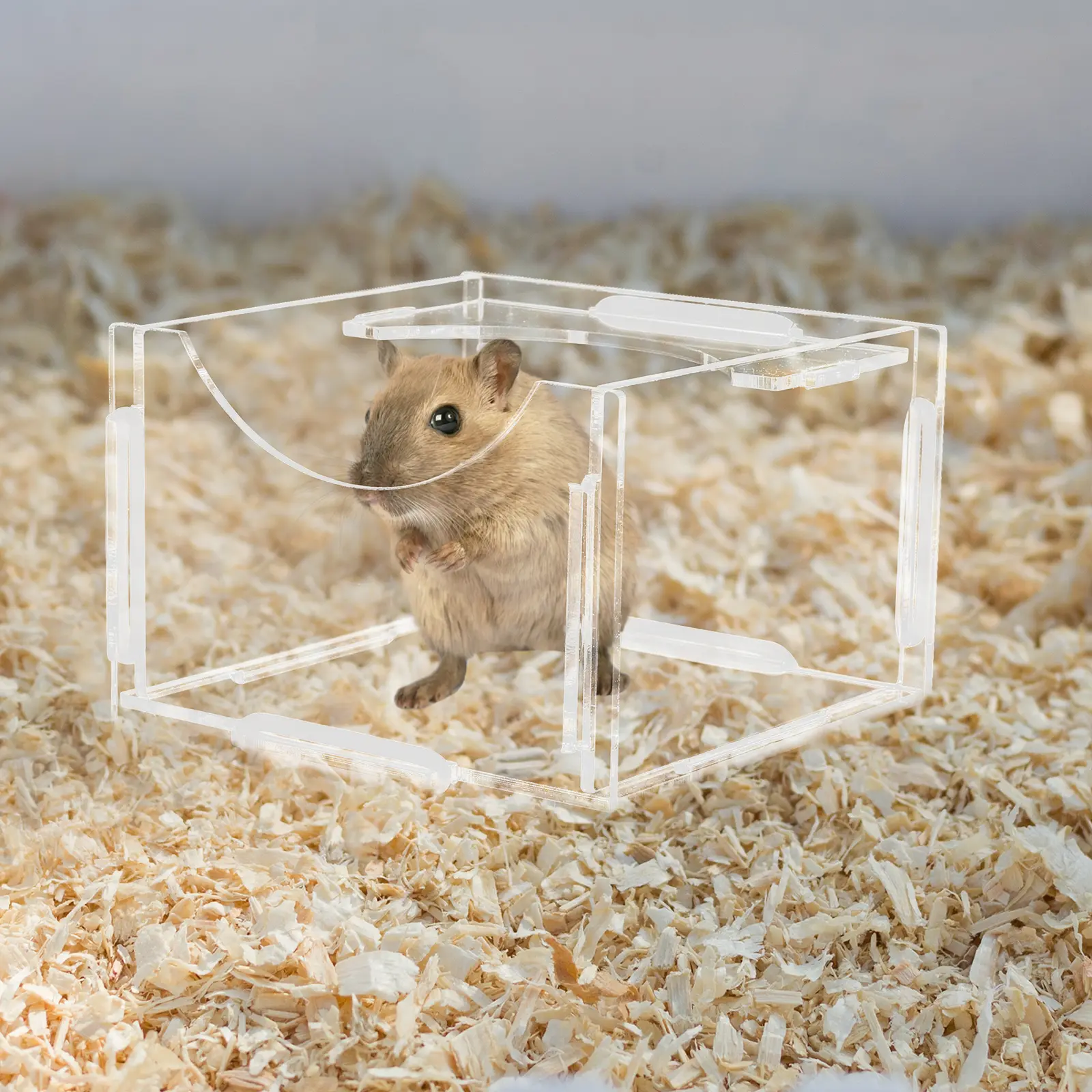 Acrylic Food Bowl Small Container for Hamster Guinea Pig Dishes Washable Feeder Rat Squirrel Pet Supplies Easy Clean for Food
