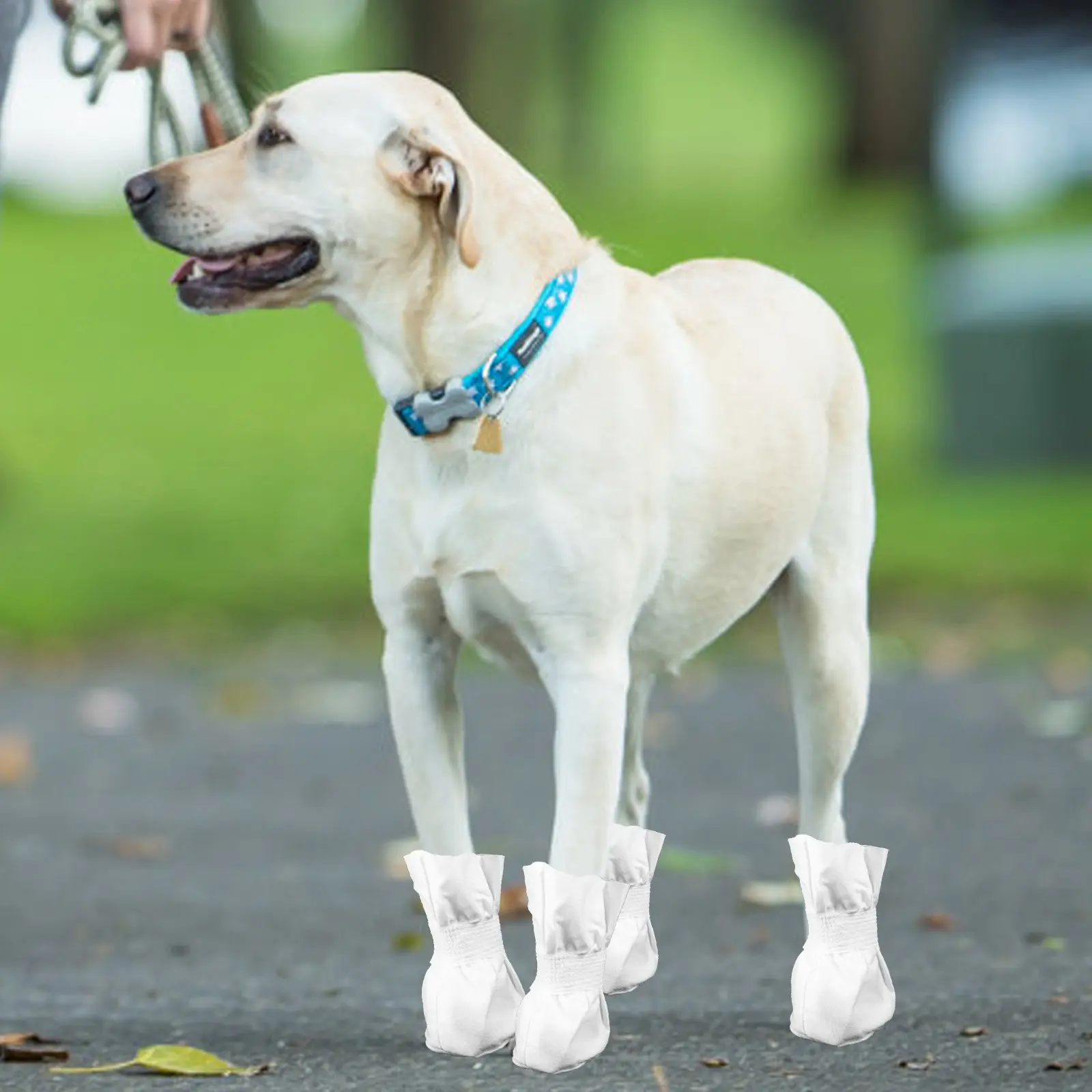 4Pcs Dog Shoes Disposable Booties for Small Dogs Outdoor Cat Boots Snow Puppy Soft Comfortable No Wash Needed Summer Winter