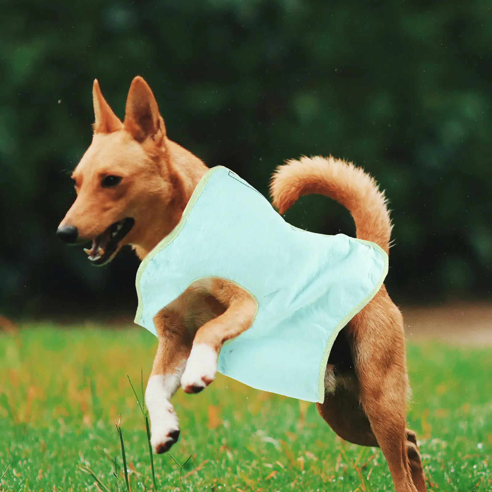 Pet Cooling Vest Dog Clothes Breathable Puppy Outdoor Decorative Vest for Small Dogs PVA Material Sweet Fashionable