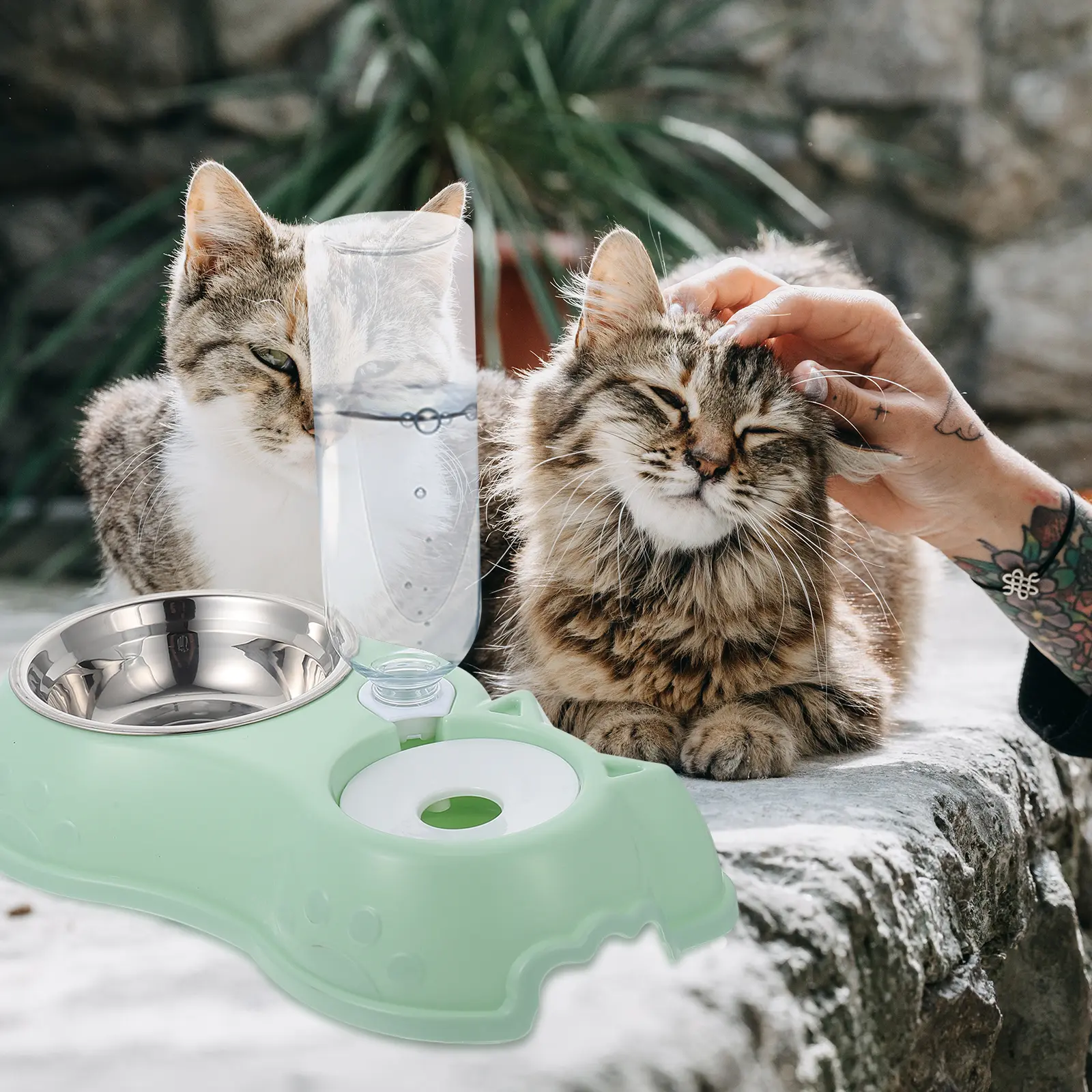 Automatic Pet Feeder Waterer Dual Bowl Plastic Stainless Steel Cat Dog Rabbit Easy Clean Detachable Design Pet Supplies