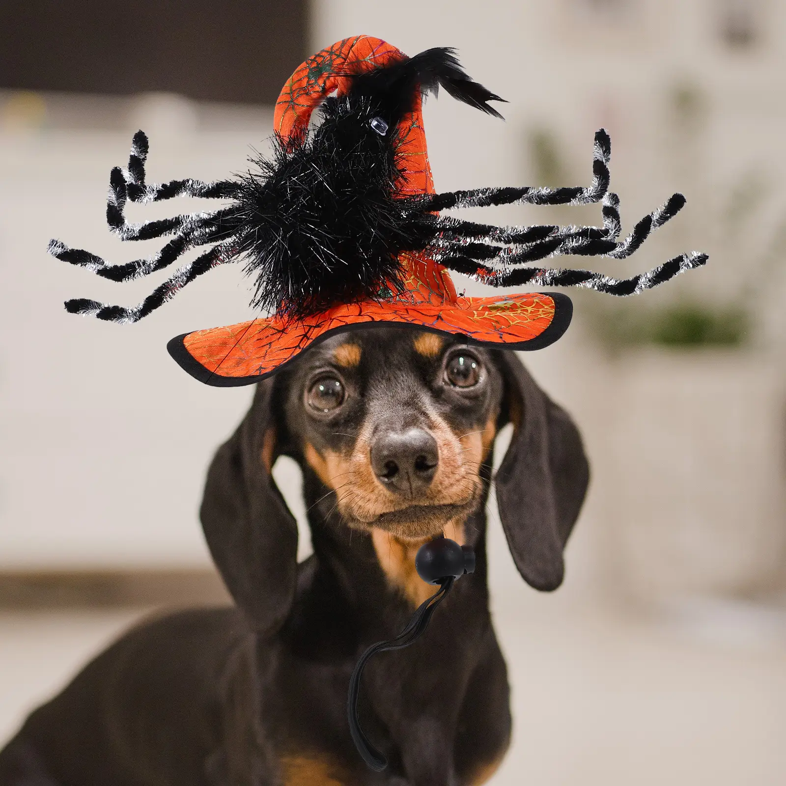 2pcs Halloween Pet Hat Dog Costume Felt PP Cotton Durable Funny Witch Headdress for Cats Dogs Party Festival Cosplay Kitten
